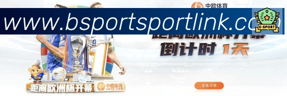 Bsports官网荣誉