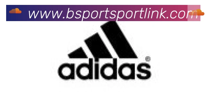 Bsports官网合作伙伴