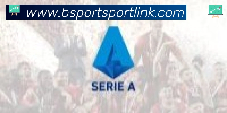 Bsports官网合作伙伴