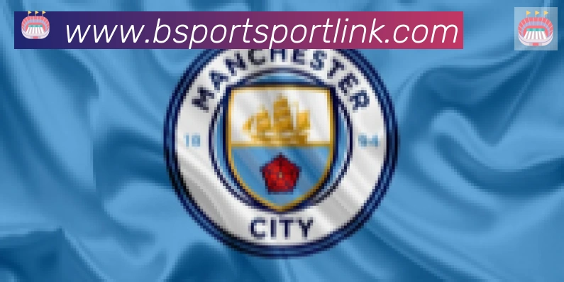 Bsports官网合作伙伴